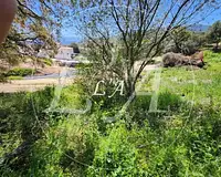 Terrain, 1 037,33 m²