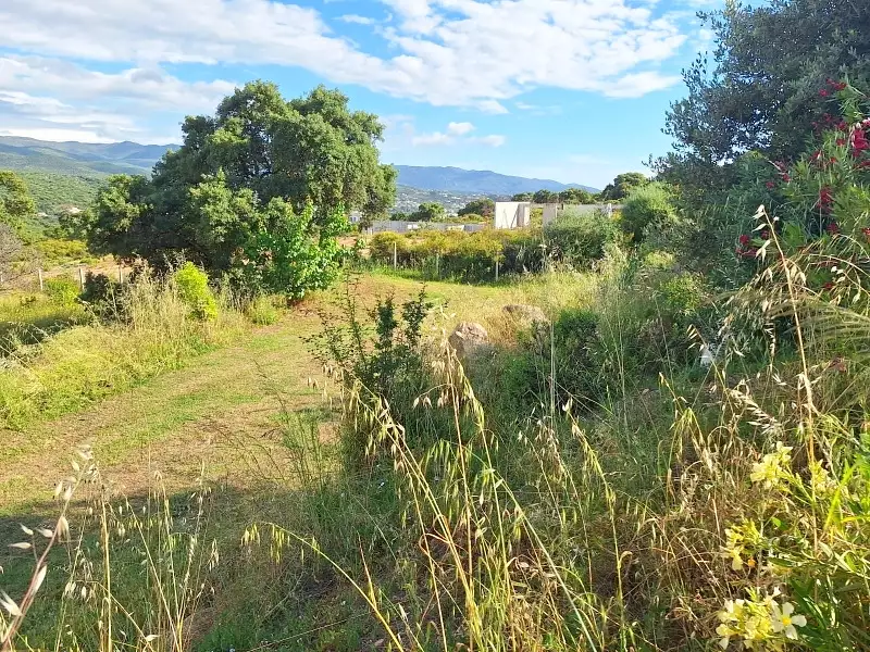 Maison, 210 m²