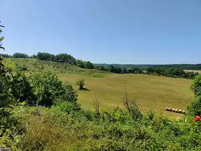 Maison, 313 m²
