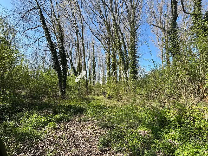 Terrain, 122 030 m²