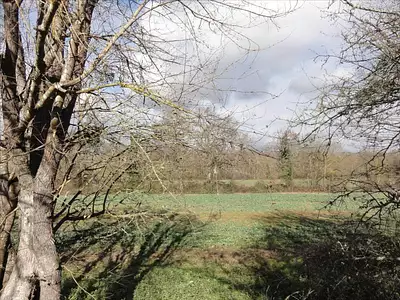 Terrain, 755 m²