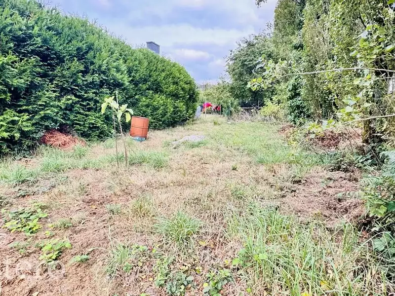 Terrain, 703 m²