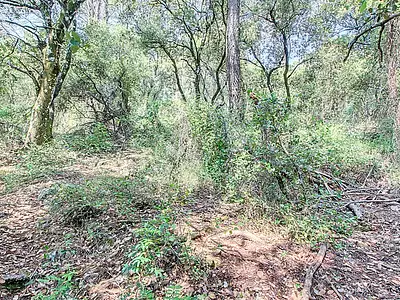 Terrain, 17 444 m²