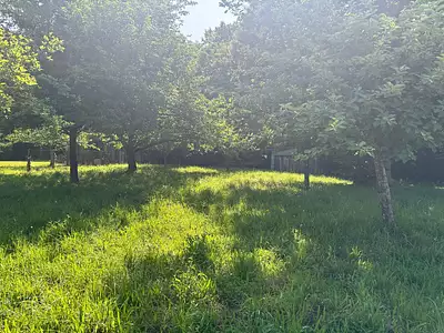 Terrain, 2 355 m²