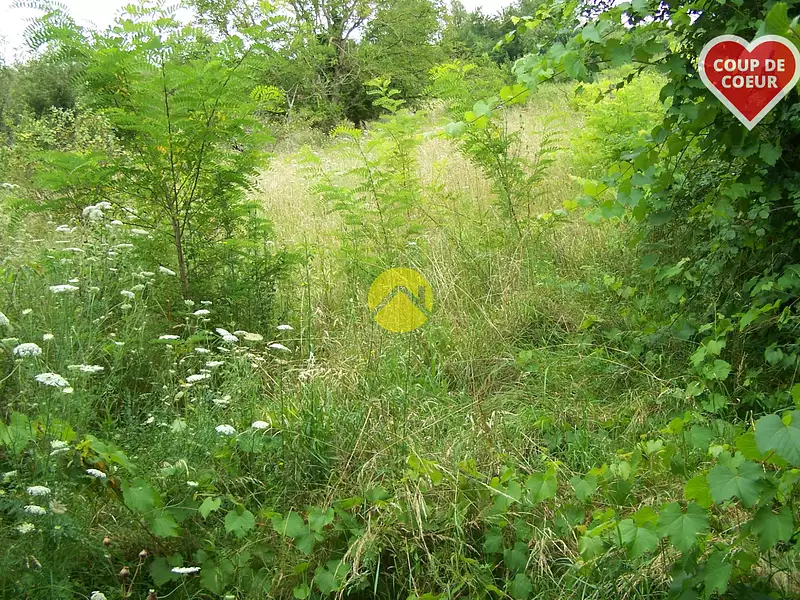 Terrain, 4 295 m²