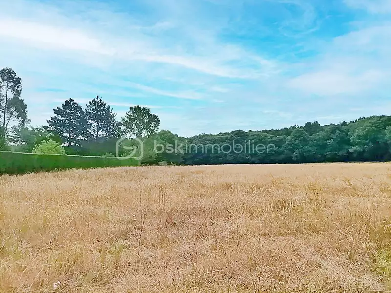 Terrain, 6 614 m²