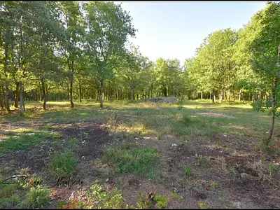 Terrain, 1 000 m²