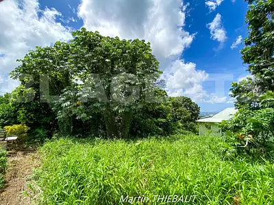 Terrain, 631 m²