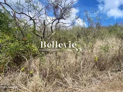 Terrain, 3 203 m²