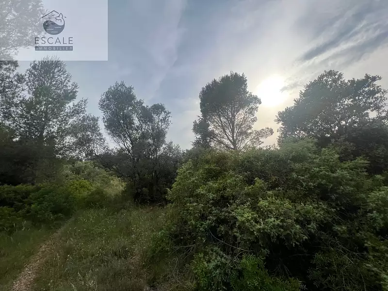 Terrain, 6 091 m²