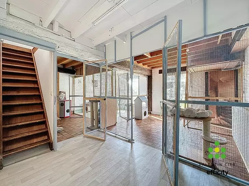 Maison, 245 m²
