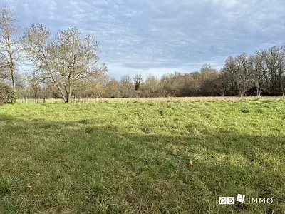 Terrain, 541 m²