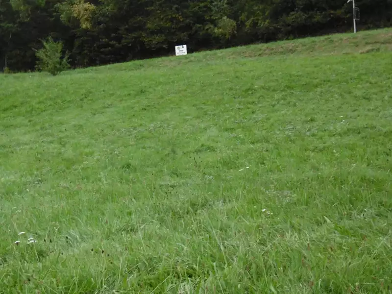 Terrain, 1 097 m²