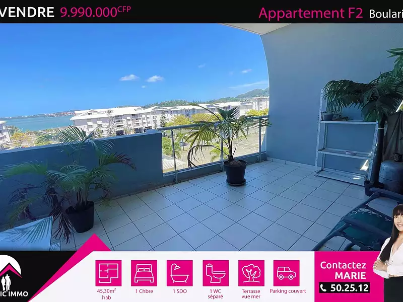 Appartement, 45,3 m²