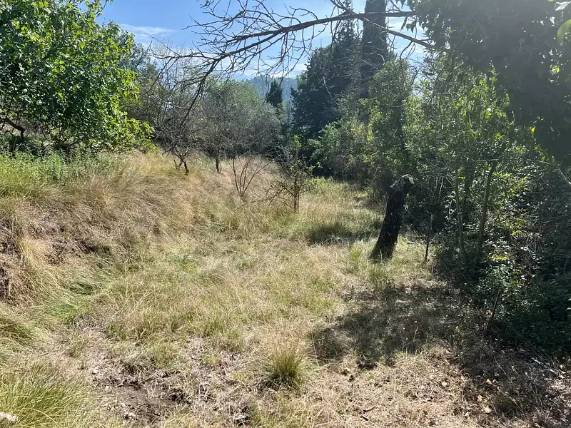 Terrain, 1 143 m²