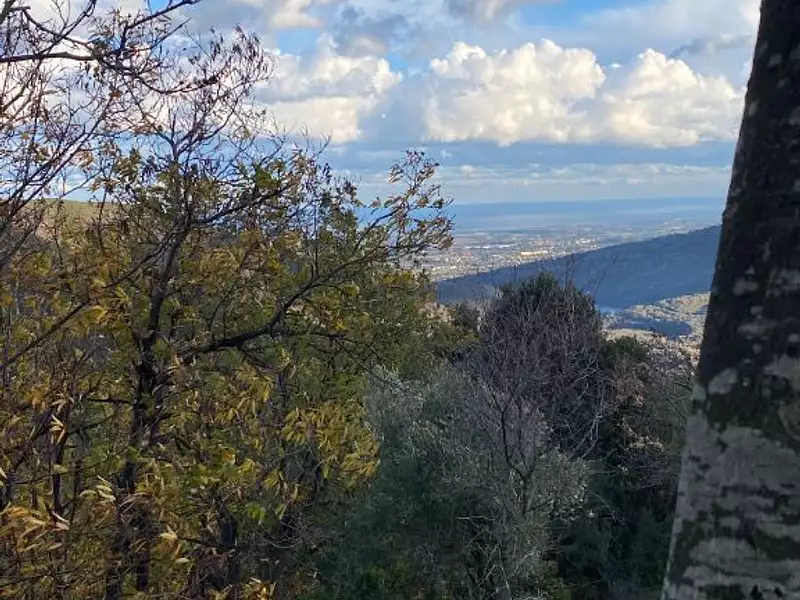 Terrain, 2 378 m²