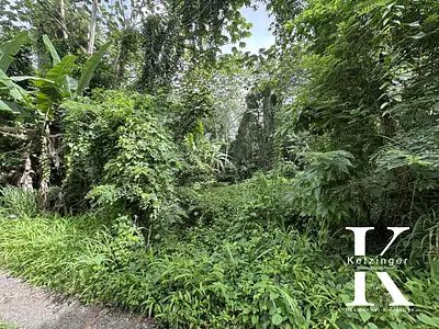 Terrain, 1 400 m²