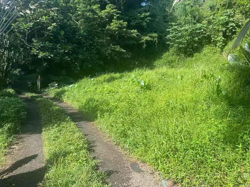Terrain, 2 052 m²