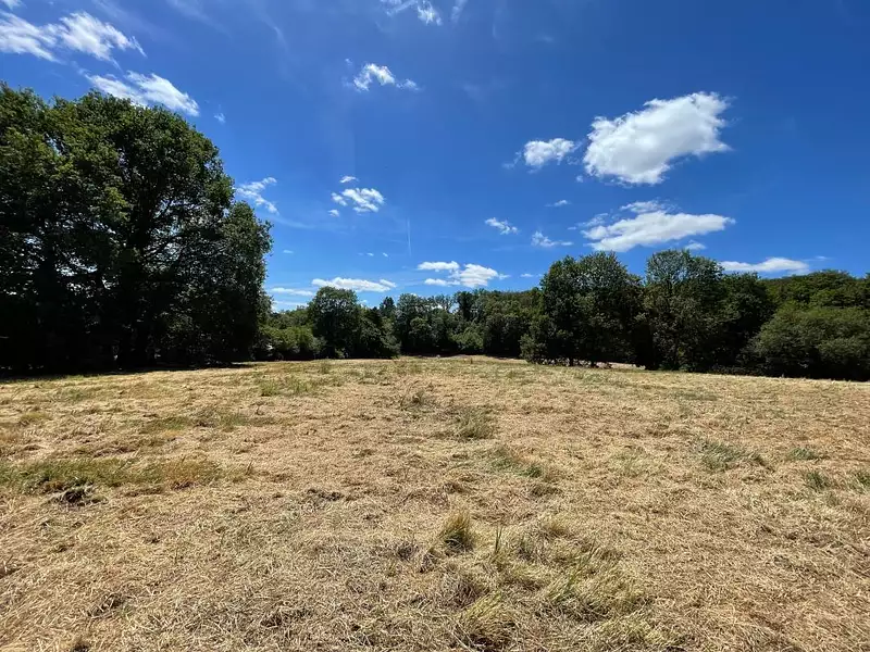 Terrain, 15 973 m²