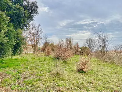 Terrain, 654 m²