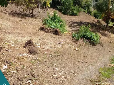 Terrain, 886 m²
