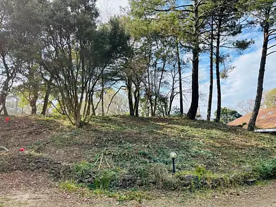 Terrain, 736 m²