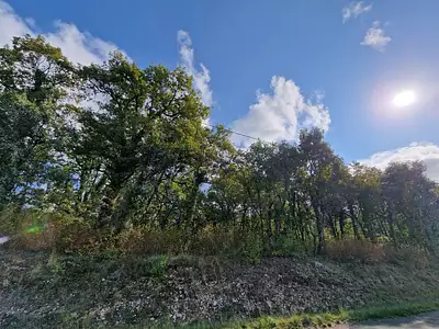 Terrain, 1 157 m²