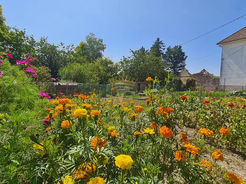 Maison, 59,3 m²