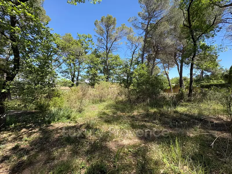 Terrain, 983 m²