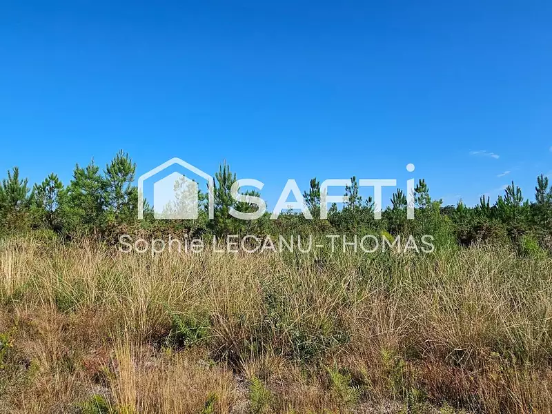 Terrain, 117 075 m²