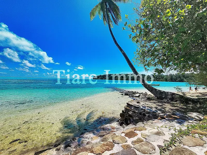 Terrain, 2 230 m²