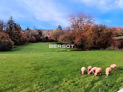 Appartement, 55,35 m²