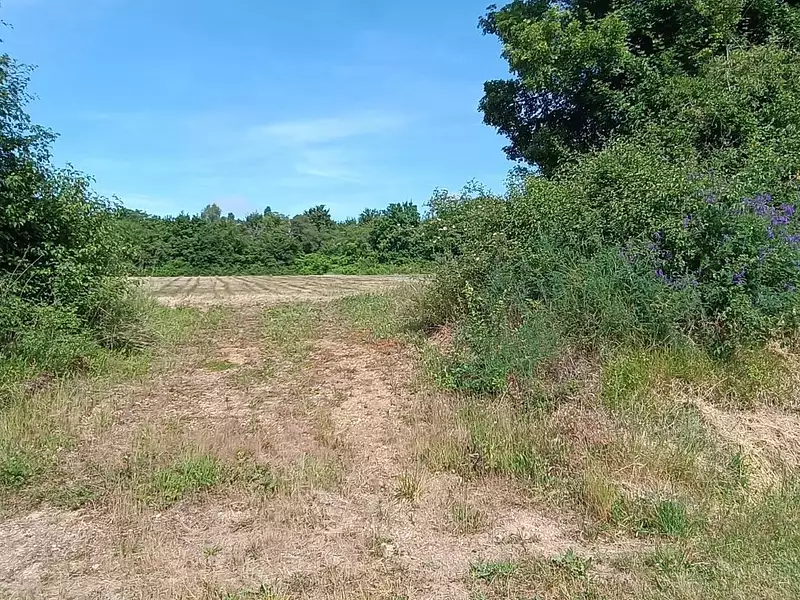 Terrain, 1 529 m²