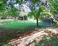 Terrain, 890 m²