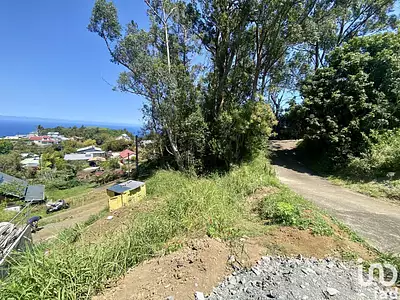 Terrain