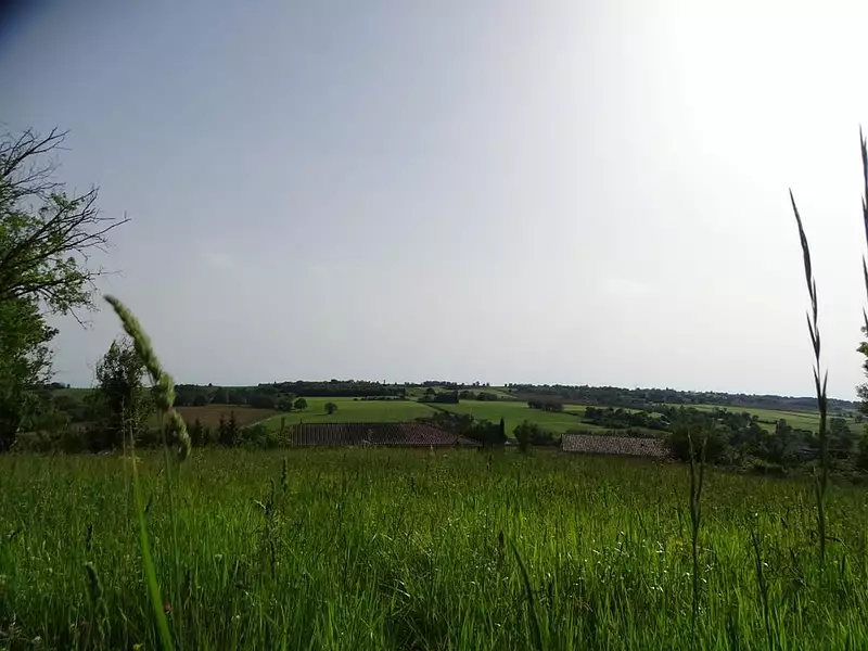 Terrain, 1 250 m²