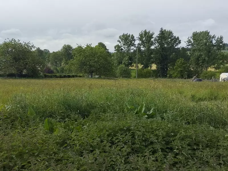 Terrain, 1 182 m²