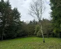 Terrain, 700 m²