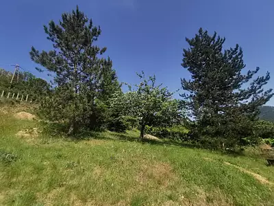 Terrain, 1 019 m²