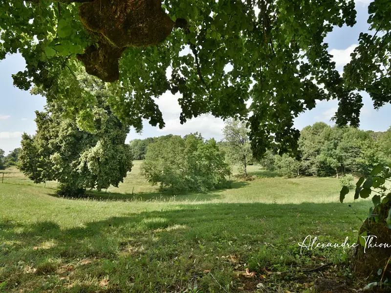 Maison, 1 500 m²