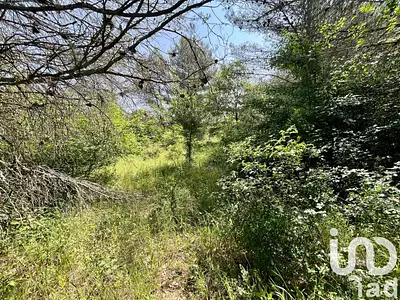 Terrain, 12 527 m²