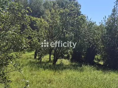 Terrain, 963 m²