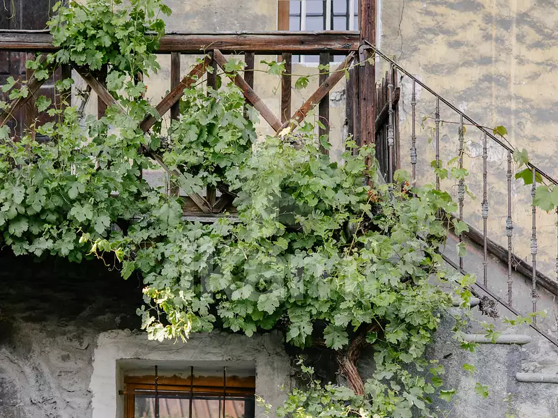 Maison, 204 m²