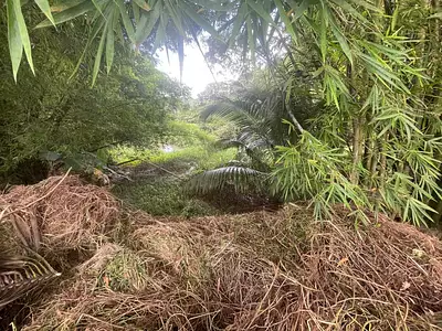 Terrain, 1 534 m²