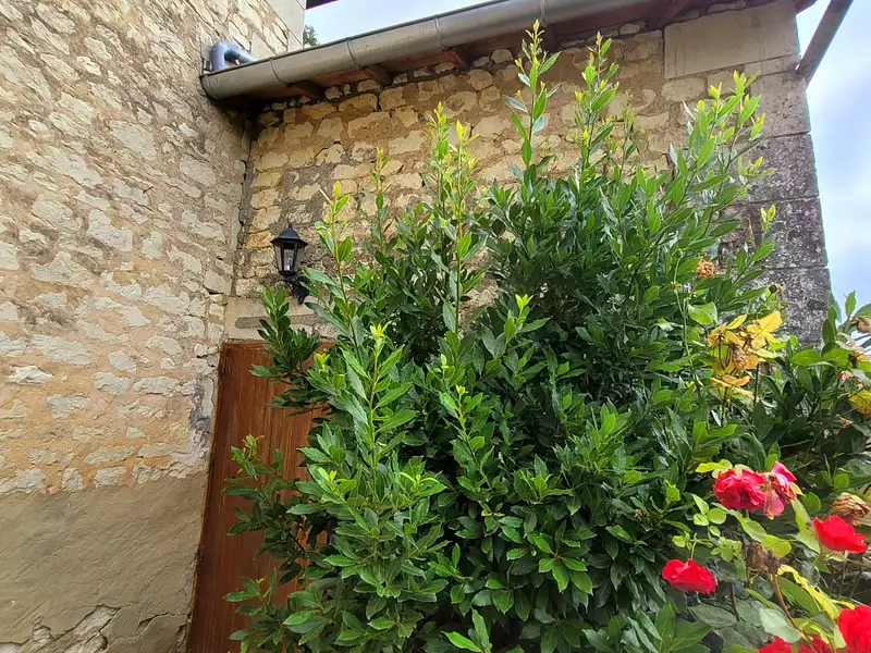 Maison, 196 m²