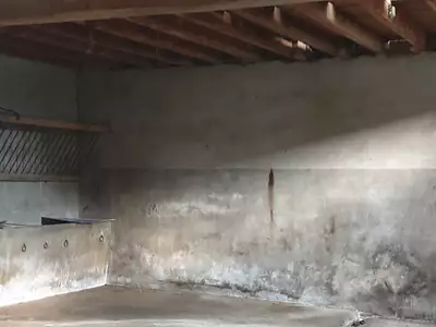 Maison, 110 m²
