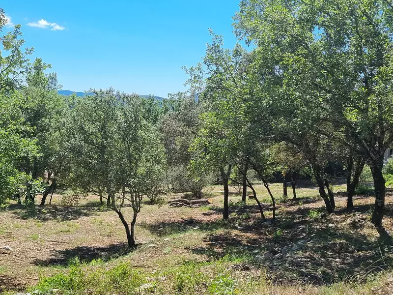 Terrain, 1 919 m²