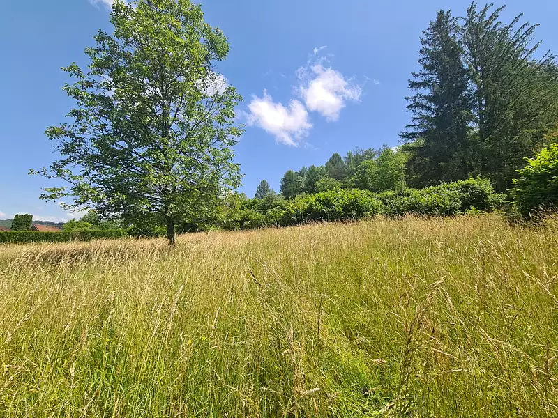 Terrain, 941 m²