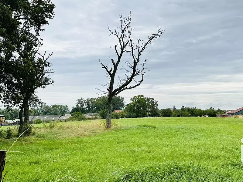 Maison, 84 m²