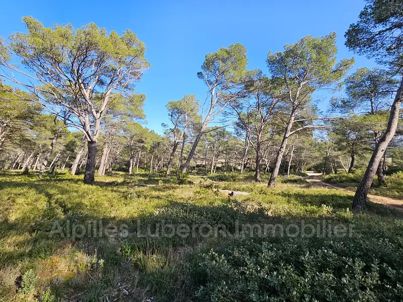 Terrain, 14 830 m²